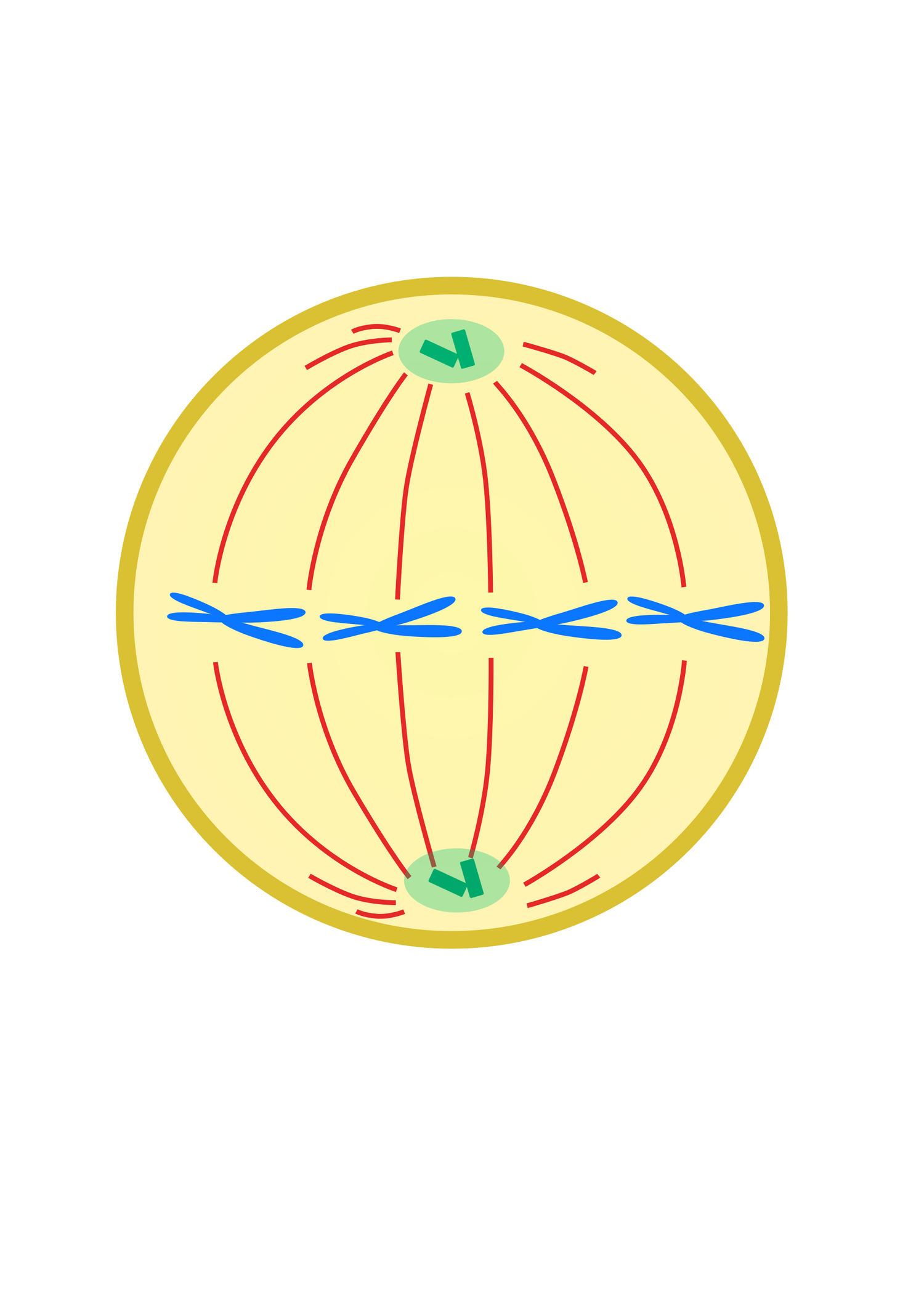C. elegans Genetic Experiments