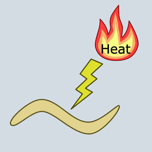 Heat Stress Assay