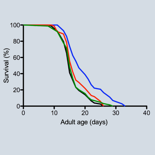 Lifespan Assay