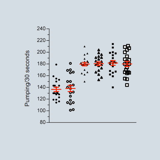 Pharyngeal Pumping Assay