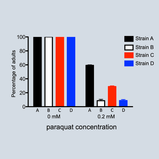 Oxidative Stress Assay